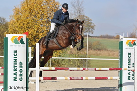 2870 Origi De Mont (Origi d´O x Atlas)